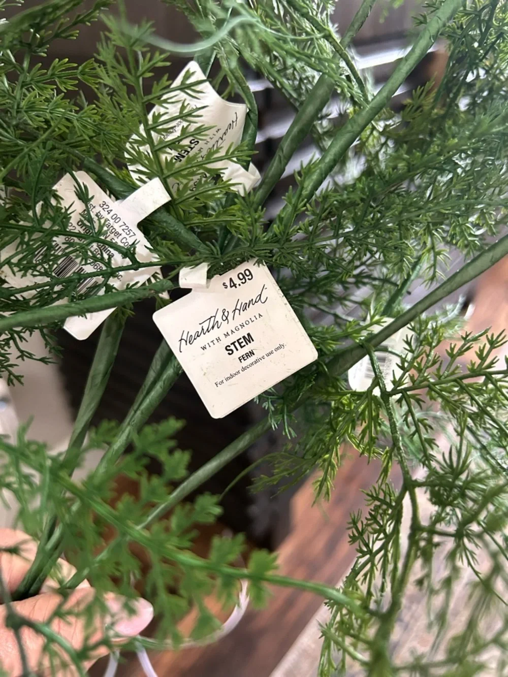 NWT Hearth&Hand Asparagus Fern Plant Stem 32